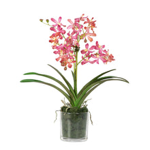 Load image into Gallery viewer, Poly-silk faux pink orchids in glass vase – artificial orchid arrangement 24" | Vivian Rose Shop
