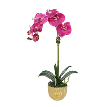 Load image into Gallery viewer, Real touch pink orchid plant in gold vase – lifelike artificial orchid

