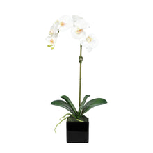 Load image into Gallery viewer, Faux Orchid Plant in Square Vase - 20" Vivian Rose Shop
