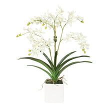 Load image into Gallery viewer, Vanda Orchid Arrangement for Dining Table – Vivian Rose Shop
