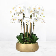 Load image into Gallery viewer, Faux Orchid Arrangement In Matte Gold Planter Vivian Rose Shop
