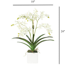 Load image into Gallery viewer, 	White Orchid Arrangement for Kitchen Island – Vivian Rose Shop
