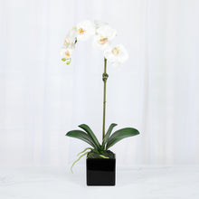 Load image into Gallery viewer, Faux Orchid Plant in Square Vase - 20" Vivian Rose Shop

