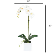 Load image into Gallery viewer, Faux Orchid Plant in Square Vase - 20" Vivian Rose Shop
