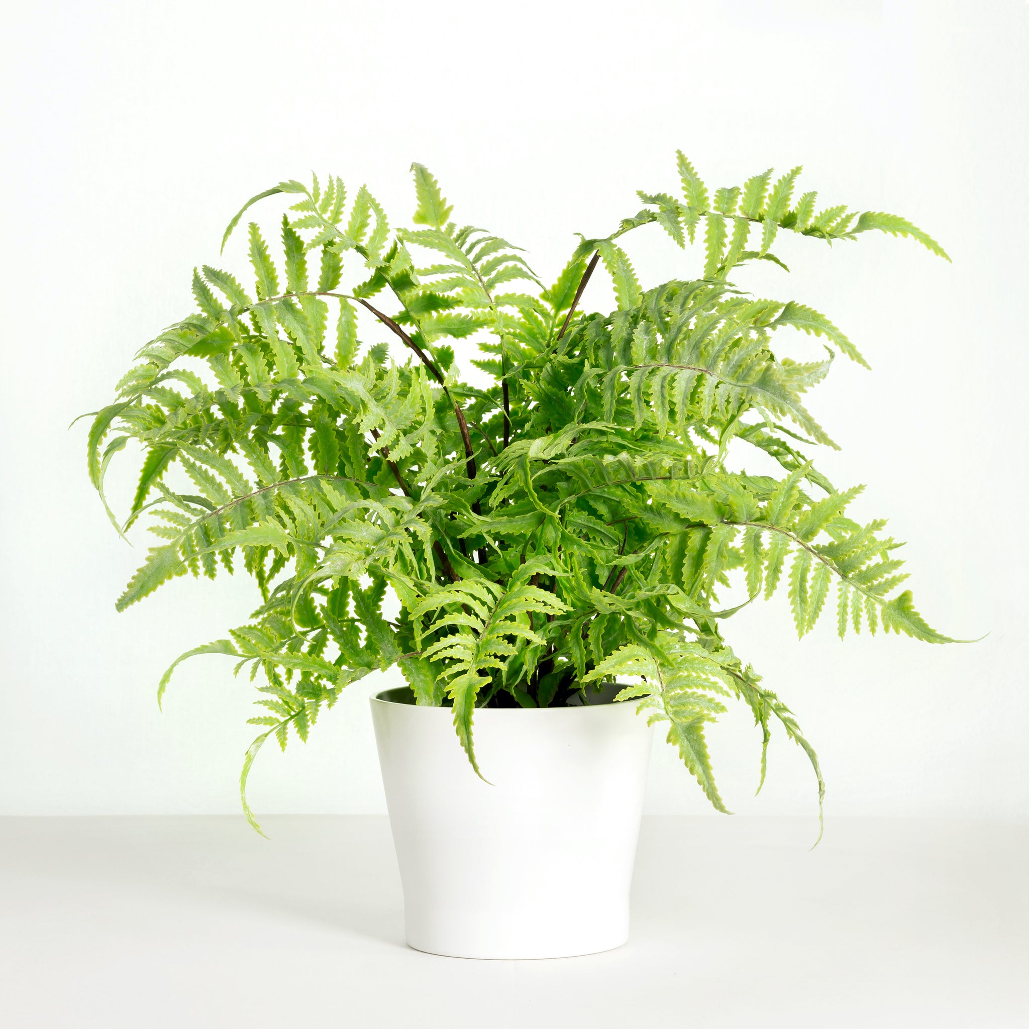 Artificial fern plant in white planter