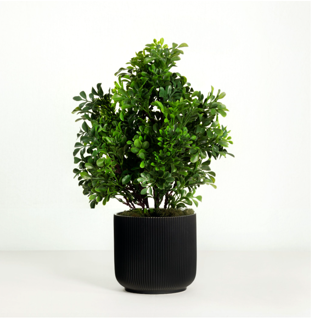 Artificial boxwood plant in black pot - 15