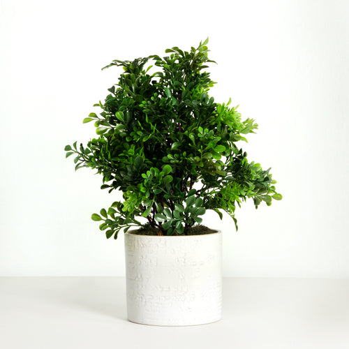 Artificial boxwood plant in white pot - 15