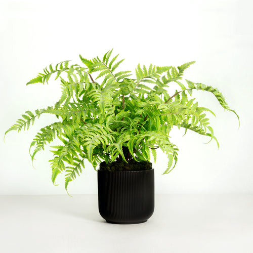 Artificial fern plant in black pot - 18