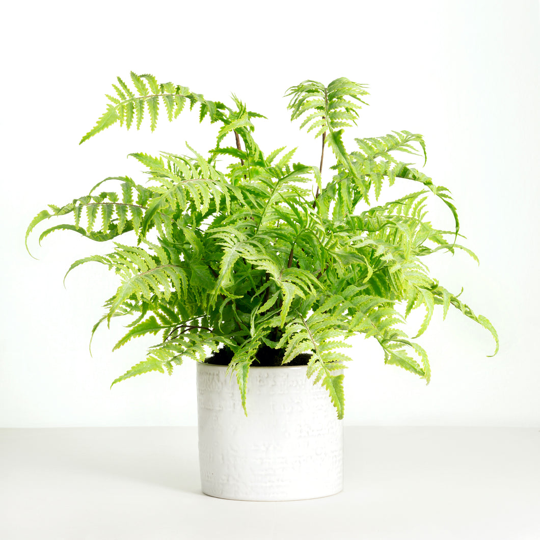 Artificial fern plant in white planter - 18