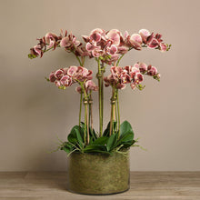 Load image into Gallery viewer, Artificial orchids in glass vase - large silk orchid centerpiece
