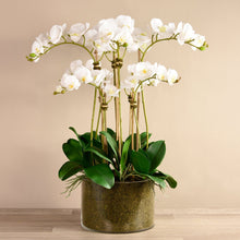 Load image into Gallery viewer, Large faux white orchid arrangement in glass vase makes for the perfect centerpiece, ideal for the formal living room or on the dining room table. These high-end artificial florals adds a grandiose and affluent flare to your space vivian rose shop
