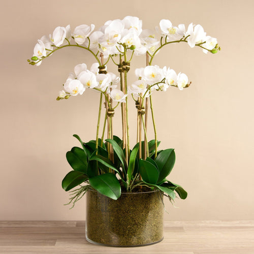 Large faux white orchid arrangement in glass vase makes for the perfect centerpiece, ideal for the formal living room or on the dining room table. These high-end artificial florals adds a grandiose and affluent flare to your space vivian rose shop