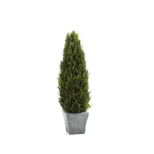 Load image into Gallery viewer, preserved cypress tree topiary in gray terracotta pot - 15.75&quot;, vivian rose

