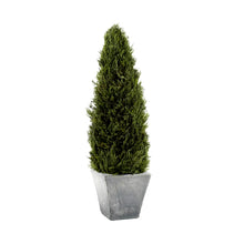 Load image into Gallery viewer, preserved cypress tree topiary in gray terracotta pot - 23.5&quot;
