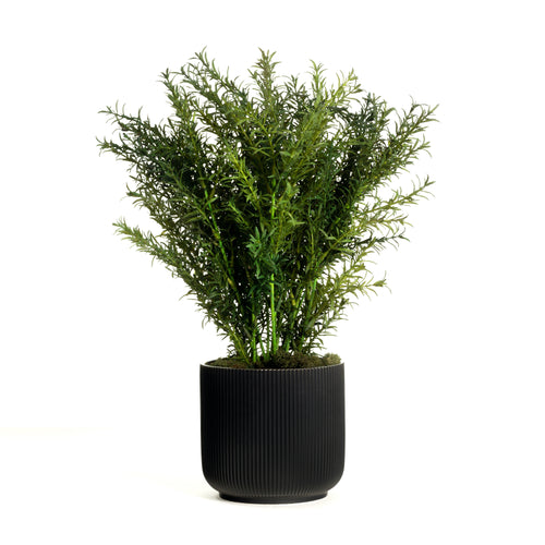 Artificial rosemary plant in black pot - 16