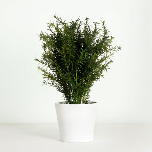 Artificial rosemary plant in white pot - 16