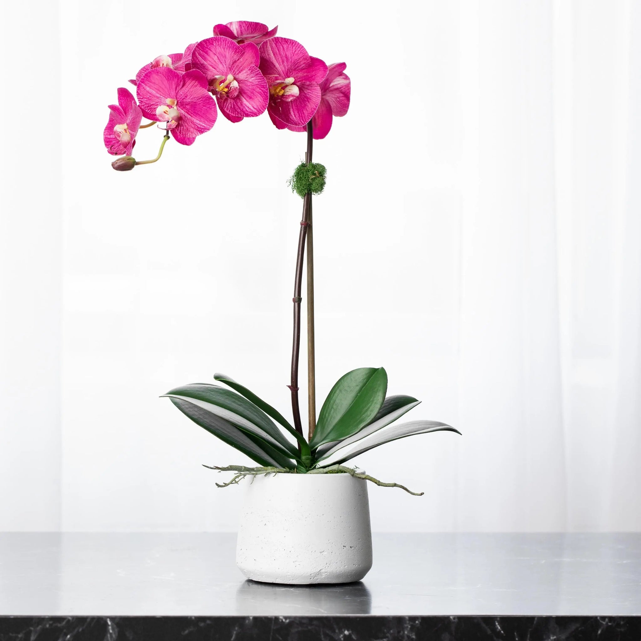 artificial orchid plants in pots Silk orchid plant - pink phalaenopsis orchid in white pot