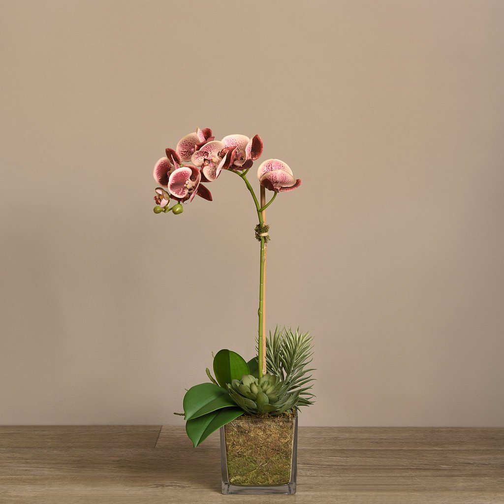 Silk orchid plant, pink single stem orchid arrangement in square glass vase
