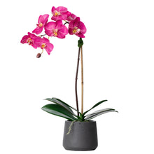 Load image into Gallery viewer, Silk orchid plant pink faux orchid plant silk orchid arrangement luxury home decor
