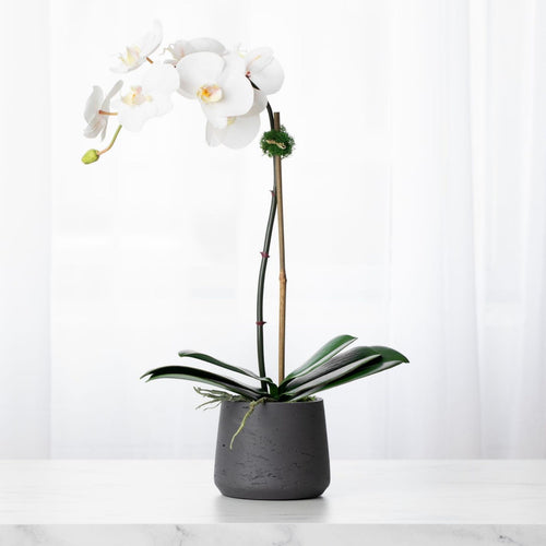 faux orchid plant, white orchid plant, fake orchid plant, silk orchid plant, indoor house plant, silk flower arrangement, faux orchid arrangement, single stem orchid plant for luxury home decor, bathroom decor, foyer orchid arrangement