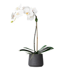 Load image into Gallery viewer, faux orchid plant, white orchid plant, fake orchid plant, silk orchid plant, indoor house plant, silk flower arrangement, faux orchid arrangement, single stem orchid plant for luxury home decor, bathroom decor, foyer orchid arrangement
