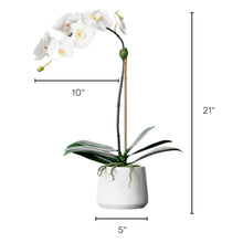 Load image into Gallery viewer,  Faux Orchid in White Pot Artificial House Plant Lover Gift Luxury HomeDecor Bathroom Decor
