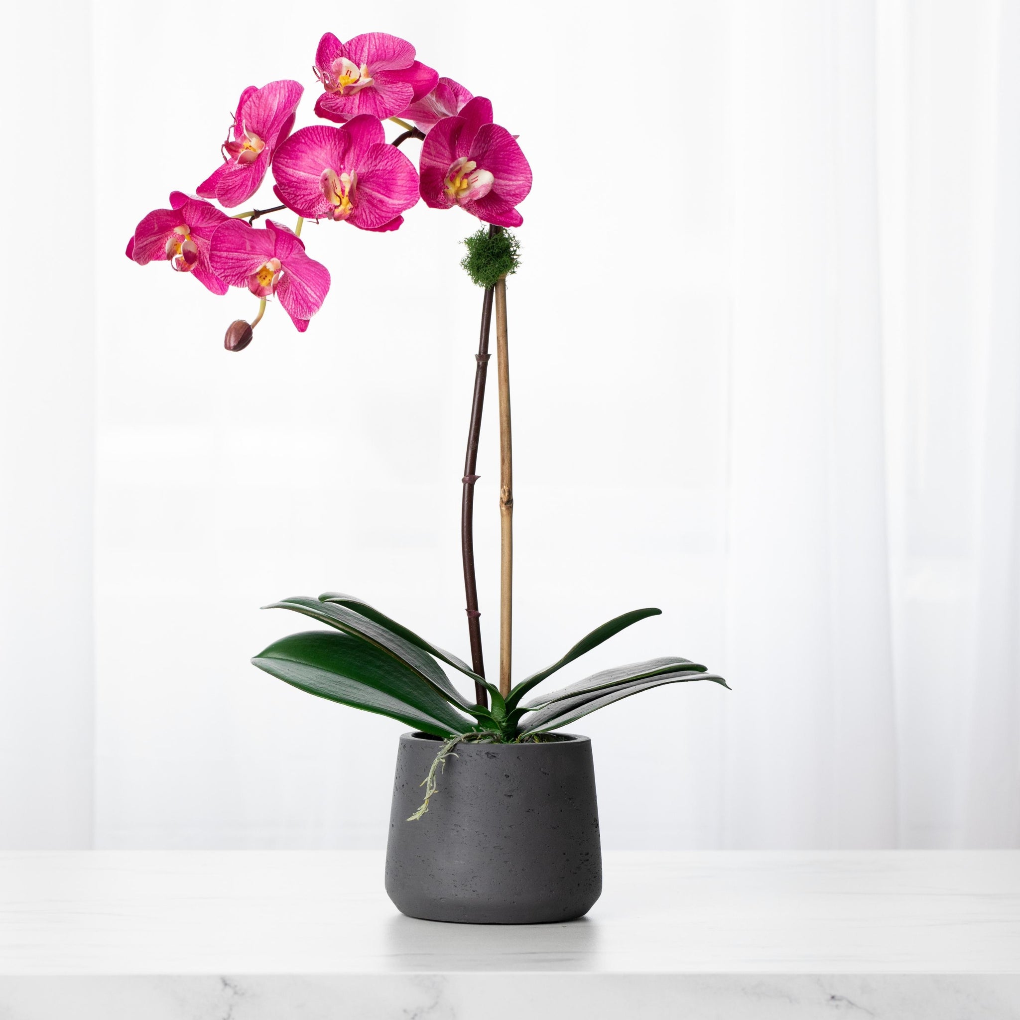 Artificial orchid plant - pink phalaenopsis orchid in black pot