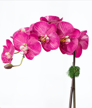 Load image into Gallery viewer, Pink orchid plant faux orchid plant silk orchid arrangement luxury home decor
