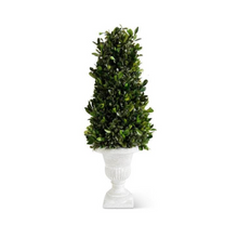 Load image into Gallery viewer, boxwood cone topiary tree in white urn 21 inches
