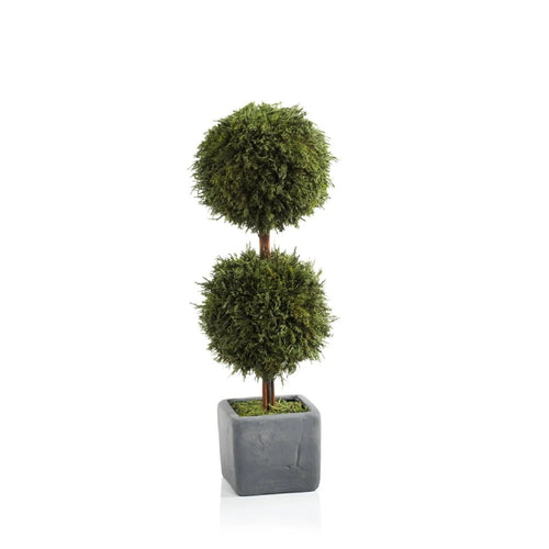 Preserved cypress double ball topiary in gray square planter