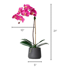 Load image into Gallery viewer, Artificial orchid plant pink faux orchid plant silk orchid arrangement luxury home decor
