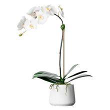 Load image into Gallery viewer, White Potted Orchid Plant Real Touch Orchid Arrangement Faux Orchid Faux Floral Arrangement HomeDecor
