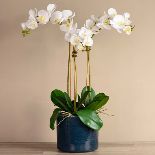 Artificial orchid flower arrangement, white orchids in navy planter - 29