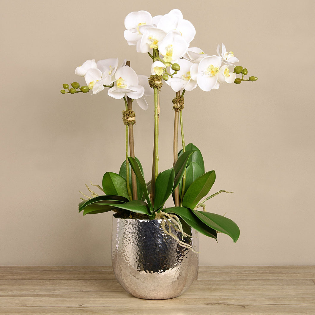 Silk orchid arrangement in silver vase, 3 white orchids - 26