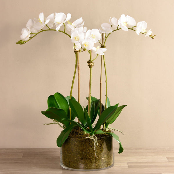 Faux Roses Orchid Large Arrangement in Glass Vase – Flovery