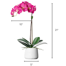 Load image into Gallery viewer, silk orchid plant - pink orchid plant in white pot - silk flower arrangement
