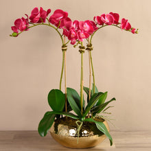Load image into Gallery viewer, pink silk orchid arrangement in gold vase - faux floral arrangement
