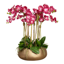 Load image into Gallery viewer, pink orchids in gold pot
