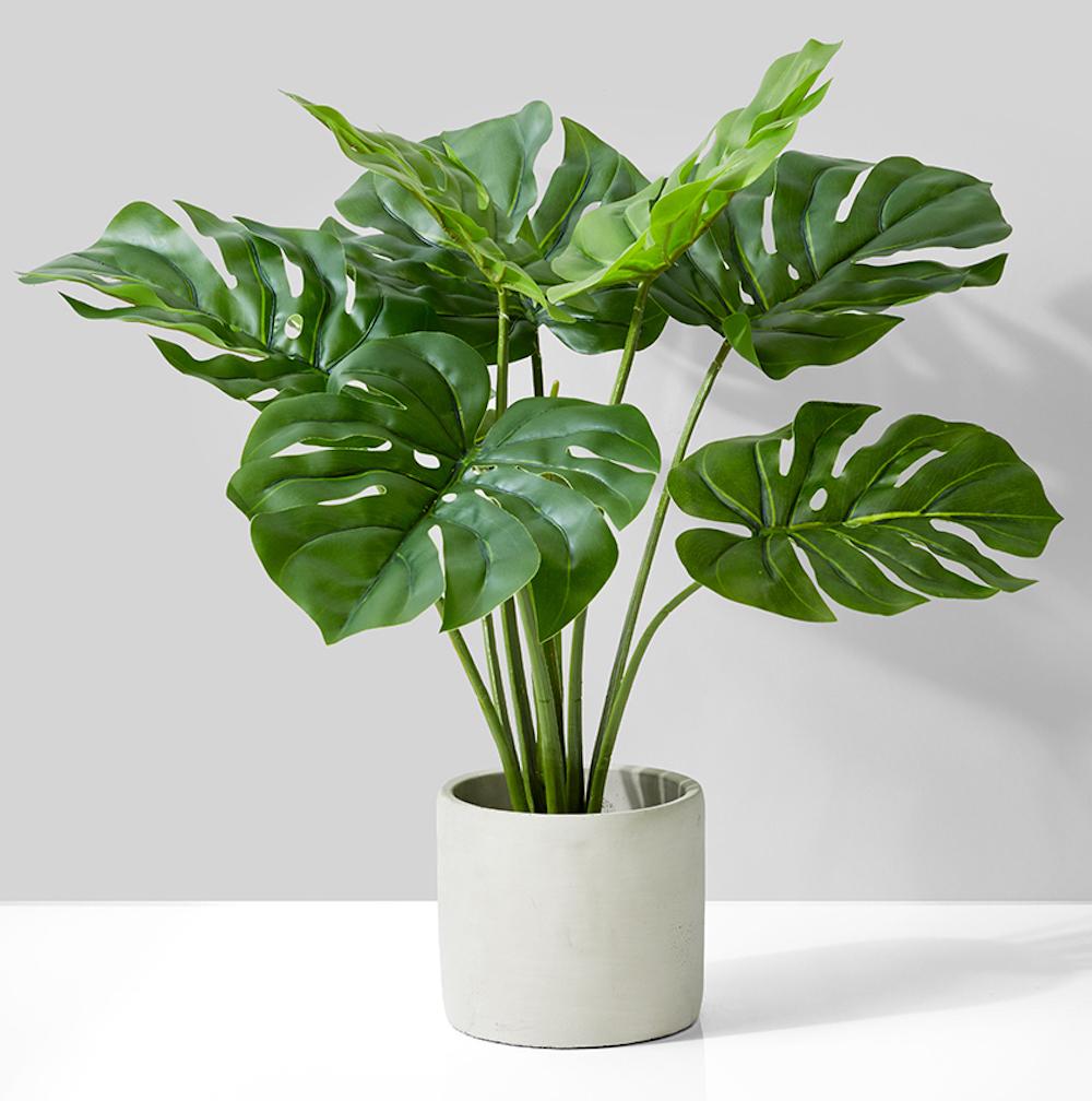 Artificial monstera plant in cement pot