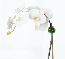 Load image into Gallery viewer, Silk Orchid Plant - White Orchid Potted House Plant Faux Orchid Plant for Luxury Home Decor
