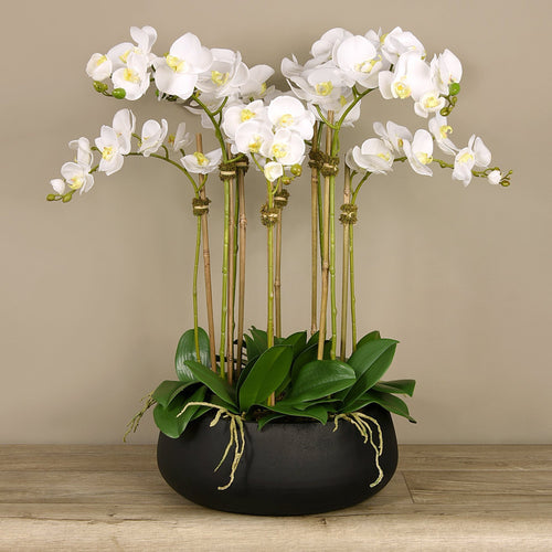 Faux white orchid arrangement in matte black planter_large orchids centerpiece