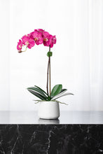 Load image into Gallery viewer, silk orchid plant - pink phalaenopsis orchid in white pot - 21&quot;- Vivian Rose Shop
