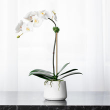 Load image into Gallery viewer, Faux Orchid Plant Real Touch Orchid Arrangement Artificial Orchid Plant Silk Flower Arrangement for Luxury Home Decor
