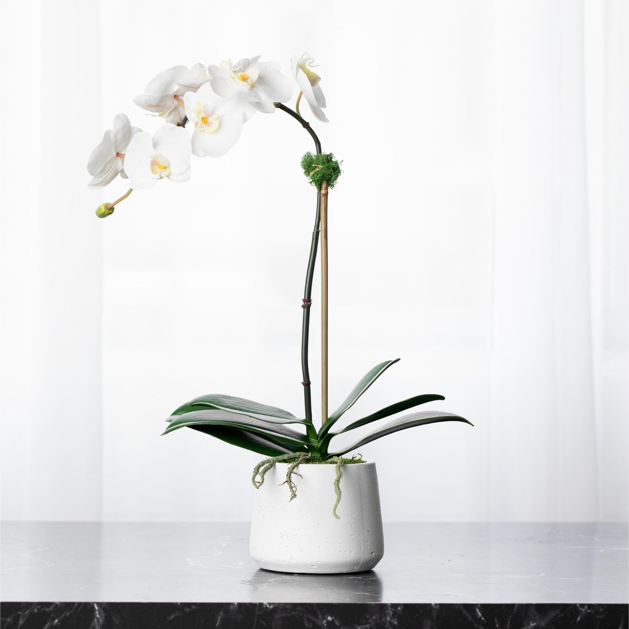 silk potted orchid plants Artificial orchid plant - white orchid in white pot