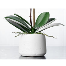 Load image into Gallery viewer, Faux White Orchid Plant in White Vase Silk Orchids, Faux Orchid
