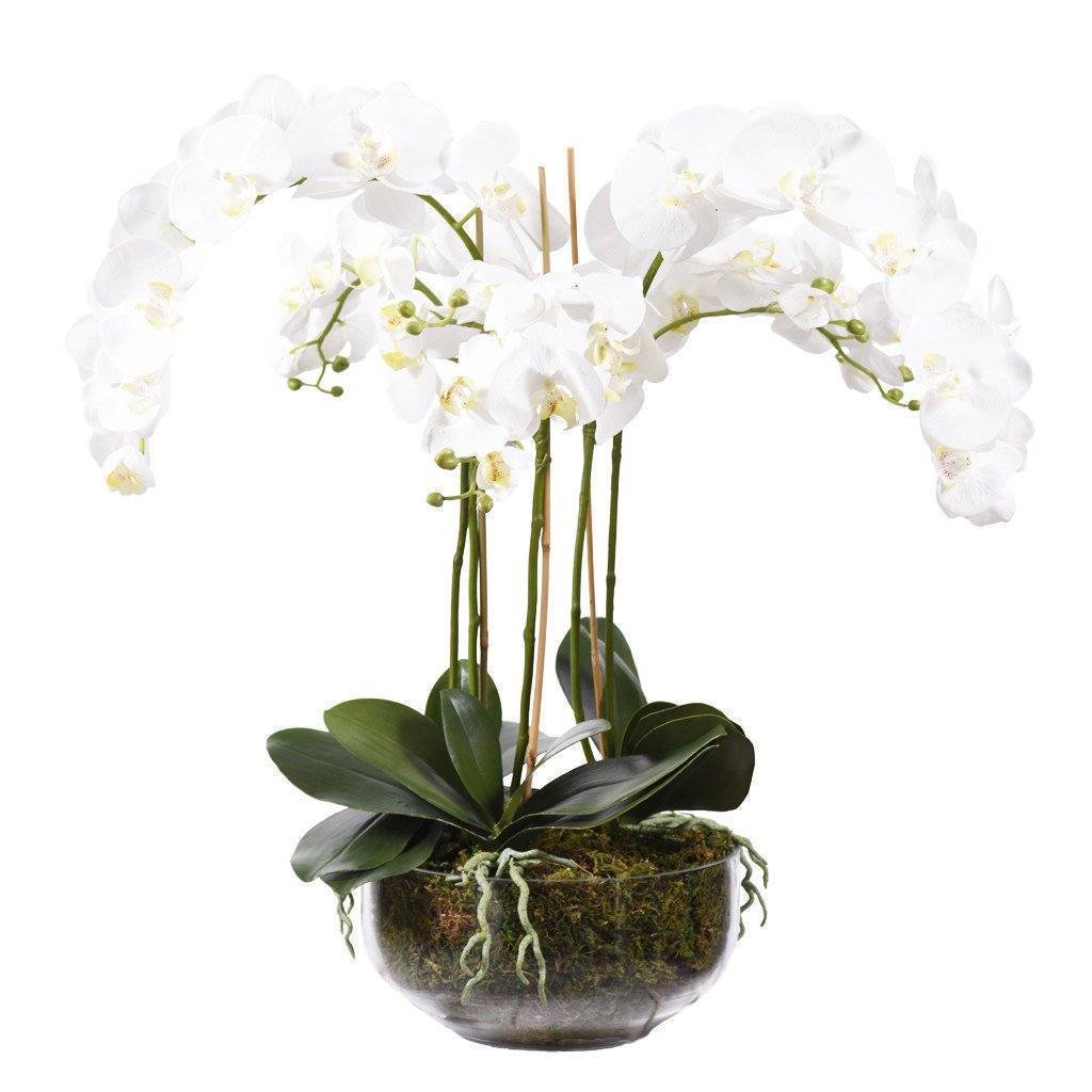 White silk orchid arrangement in glass vase_artificial flora