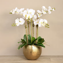 Load image into Gallery viewer, white orchid centerpiece in gold pot
