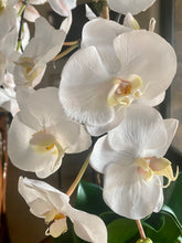 Load image into Gallery viewer, white silk orchid arrangement in gold vase faux orchid centerpiece arrangement
